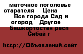 маточное поголовье старателя  › Цена ­ 3 700 - Все города Сад и огород » Другое   . Башкортостан респ.,Сибай г.